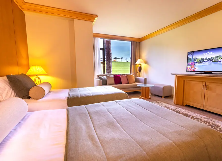 - Deluxe Suite -