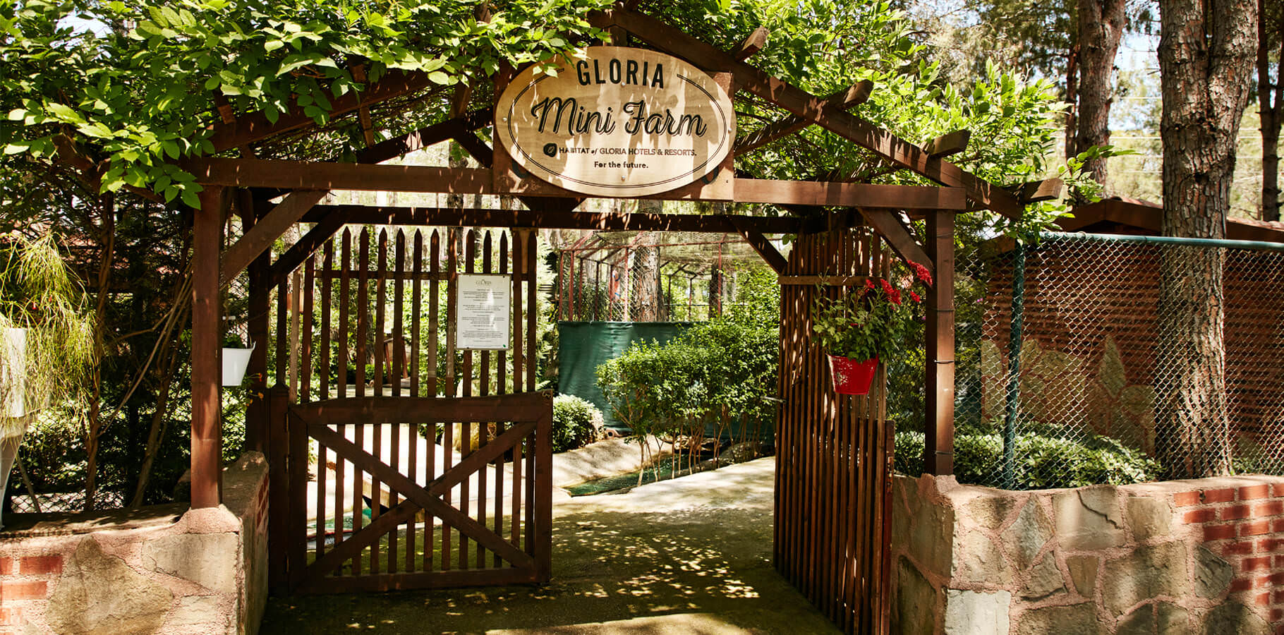 Gloria Mini Farm