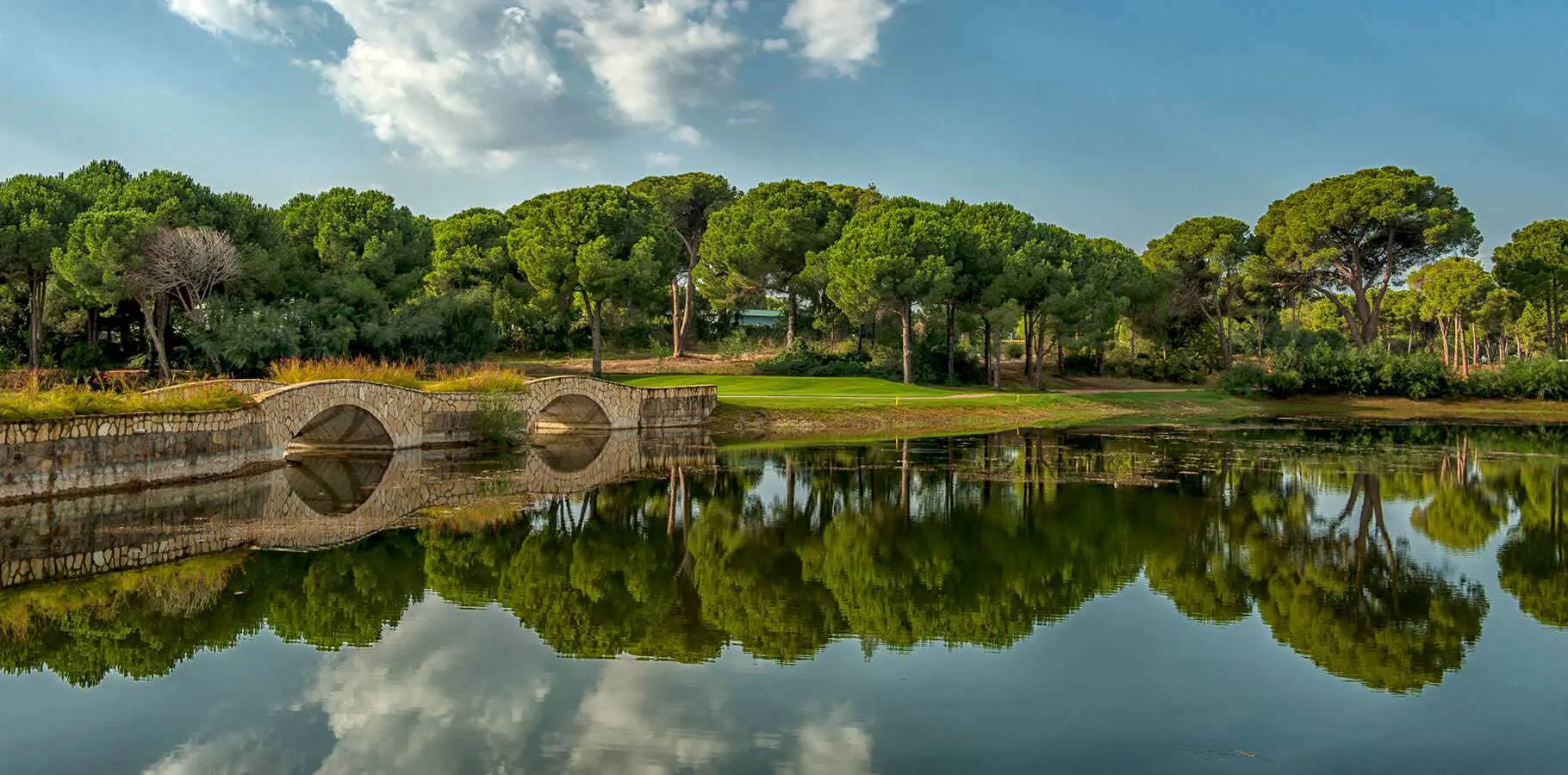 Gloria Verde Course Tee 2