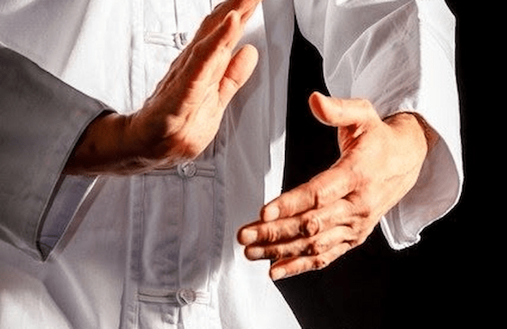 Tai Chi The Moves, The Method (1)