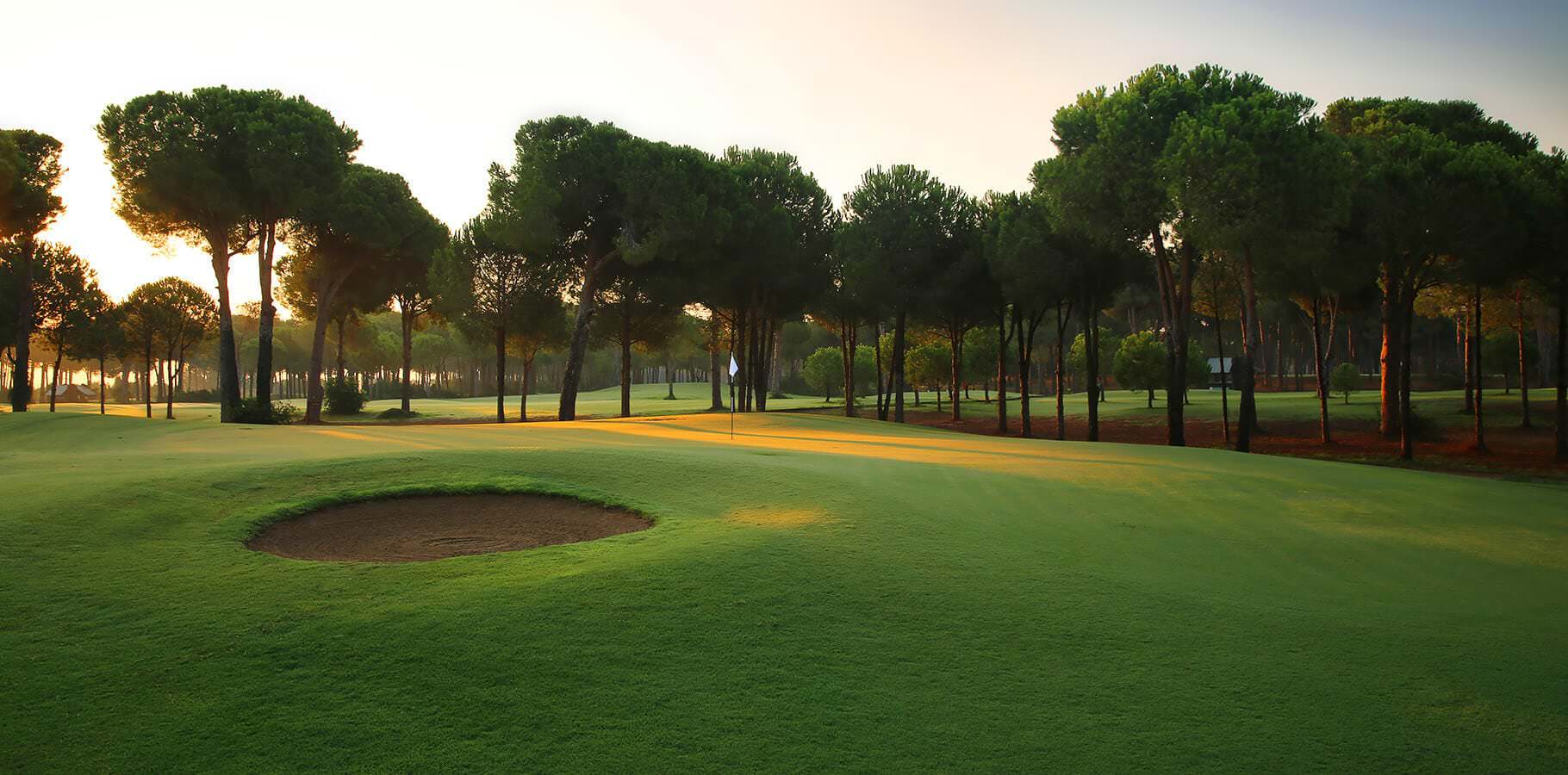 Gloria Verde Course Tee 9 (1)