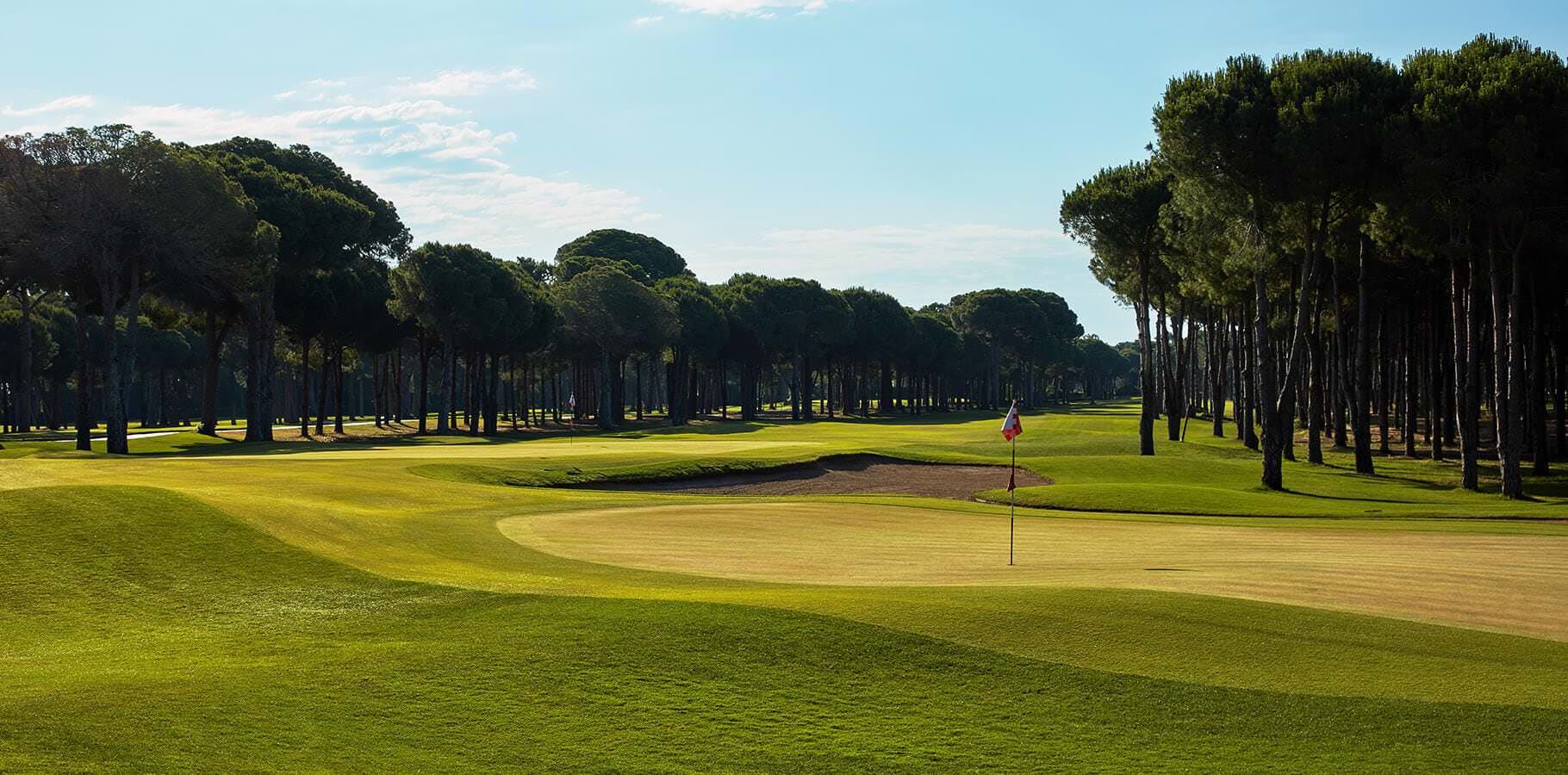 Gloria Old Course Tee 12-17 Green